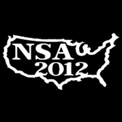nsa slowpitch fastpitch softball stamp